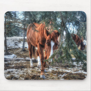 Mousepad Sorrel Mare e Ramificações, doação para amantes de