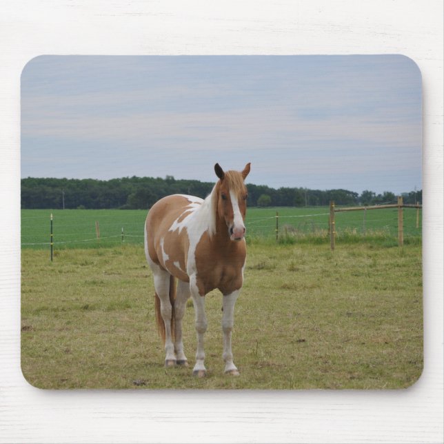 Mousepad Sorrel Tobiano Paint Horse (Frente)