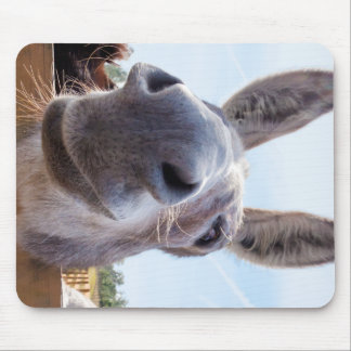 Mousepad Sorriso de burro com Bobo