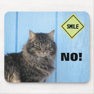 Mousepad Sorriso? Não! Gato Meme