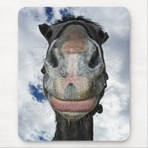 Mousepad Sorrisos engraçados do cavalo