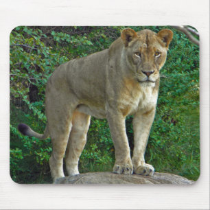 Mousepad Sou Mulher!