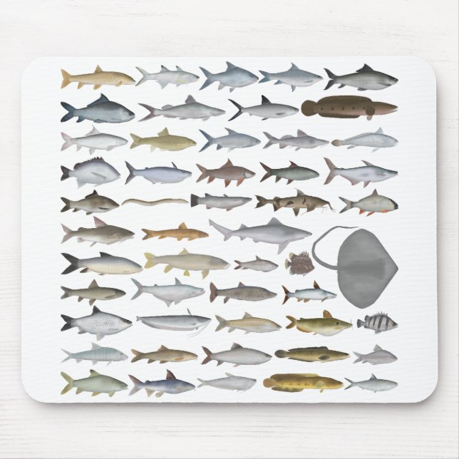 Mousepad South Asia Freshwater Fish Group (Frente)