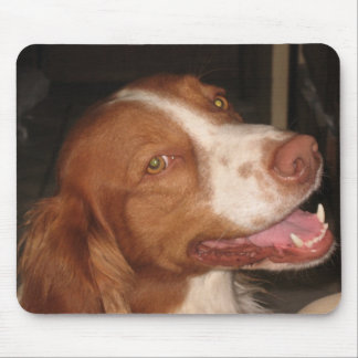 Mousepad Spaniel de Brittany de sorriso