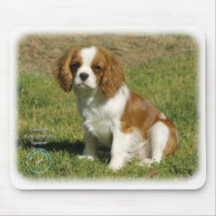 Mousepad Spaniel de rei Charles descuidado