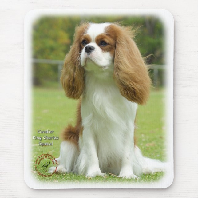 Mousepad Spaniel de rei Charles descuidado (Frente)