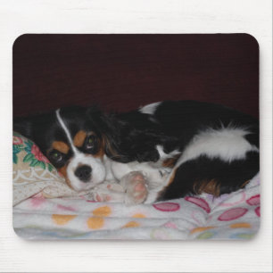 Mousepad Spaniel de rei Charles descuidado