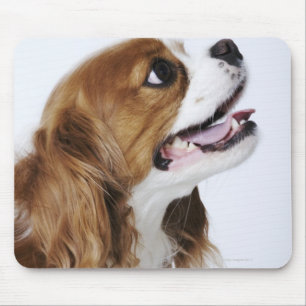 Mousepad Spaniel de rei Charles descuidado