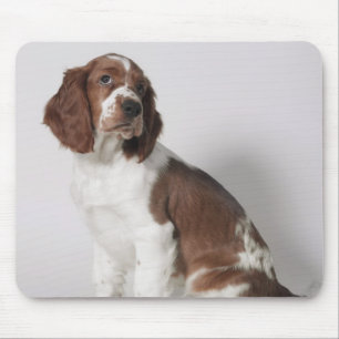 Mousepad Spaniel de Springer