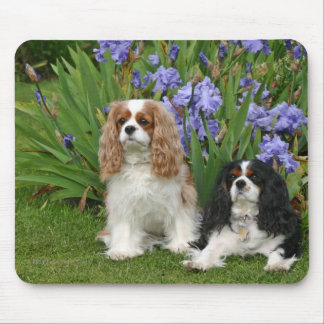 Mousepad Spaniels de rei Charles descuidados no jardim da