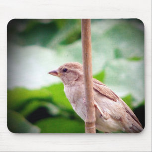 Mousepad Sparrow