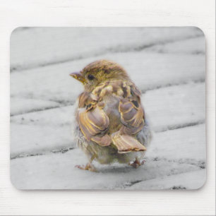Mousepad Sparrow Brown