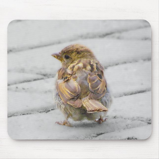 Mousepad Sparrow Brown (Frente)