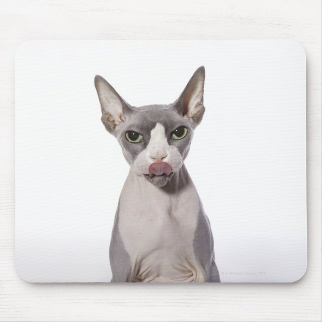Mousepad Sphynx Cat com língua para fora (Frente)