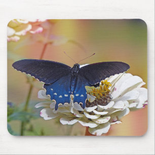 Mousepad Spicebush Swallowtail