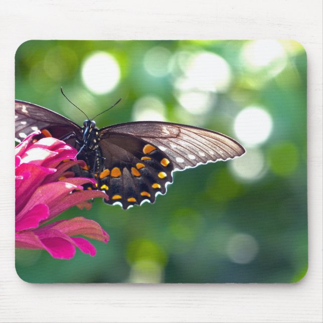 Mousepad Spicebush Swallowtail (Frente)