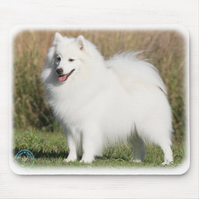 Mousepad Spitz japonês 9Y576D-261 (Frente)