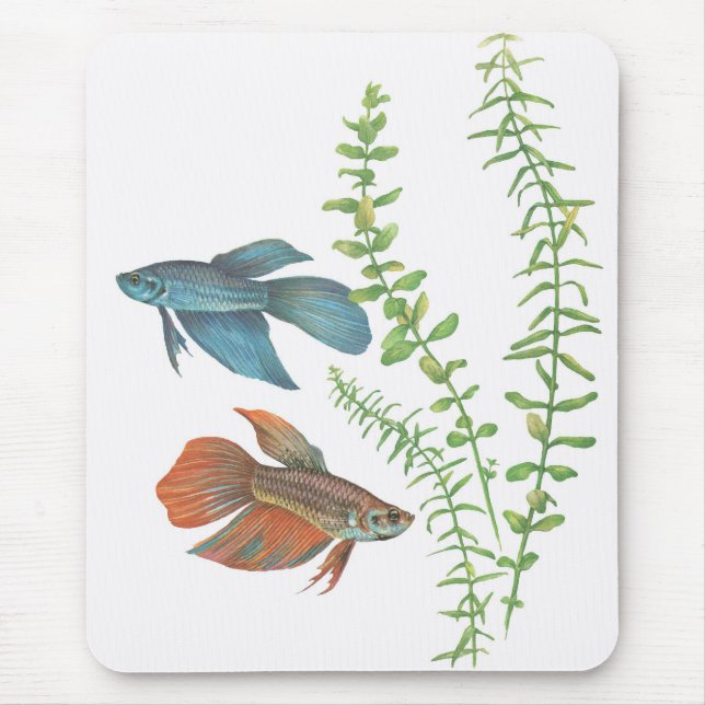Mousepad Splendens de Betta e branco indica de Rotala (Frente)