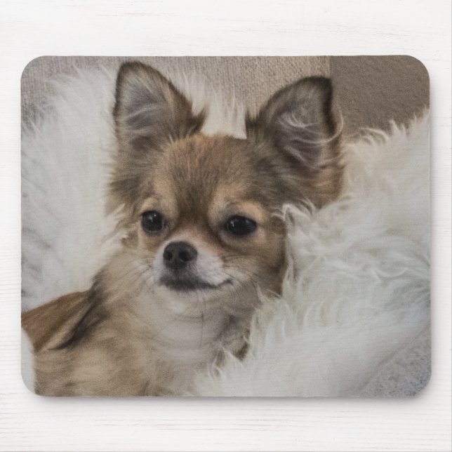 Mousepad Spoilt Chihuahua Relaxing (Frente)