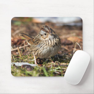 Mousepad Sponky Sponky Lincoln é o sabiá