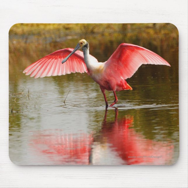 Mousepad Spoonbill (Frente)