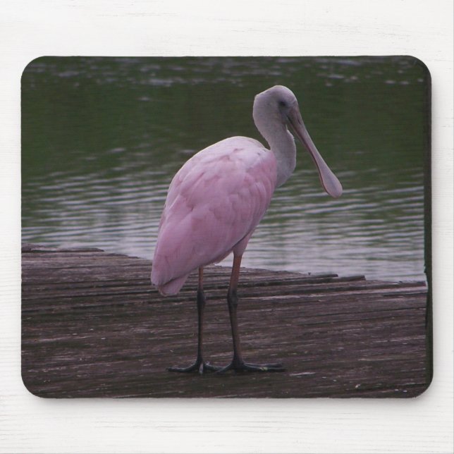 Mousepad Spoonbill róseo (Frente)