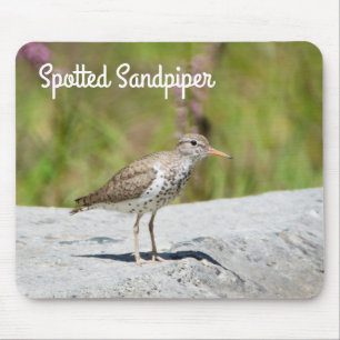 Mousepad Spotted Sandpiper