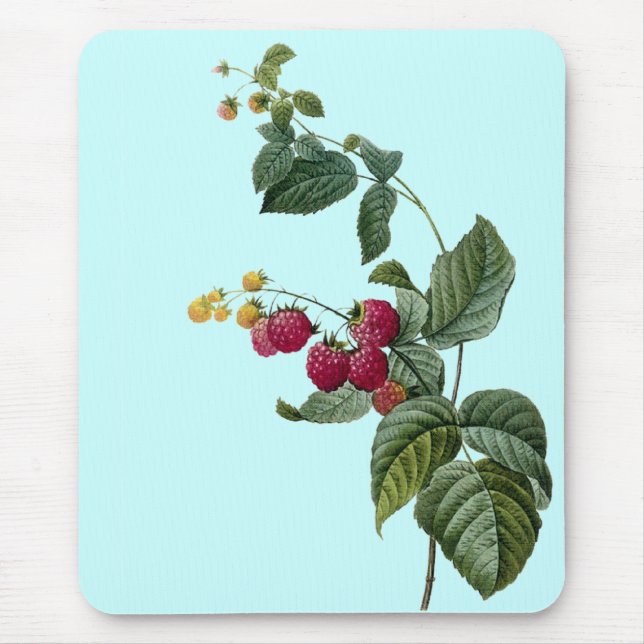 Mousepad Sprigs da fruta (Frente)