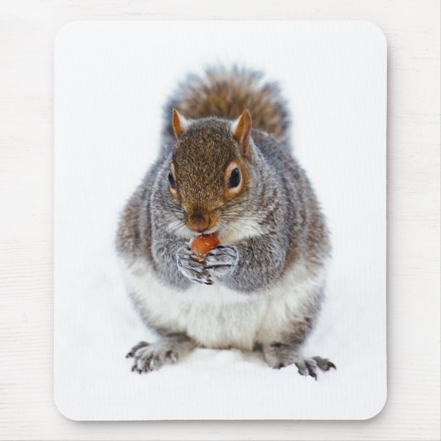 Mousepad Squirrel Eating a Nut Cute Winter Photo (Frente)
