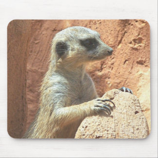 Mousepad Sr. Meerkat