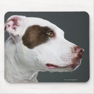 Mousepad Staffordshire bull terrier, fim-acima