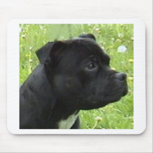Mousepad staffy.png