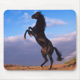 Mousepad Stallion Negro