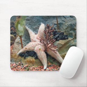 Mousepad Starfish Na Planta Aquática