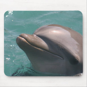 Mousepad Starring um tapete do rato do golfinho