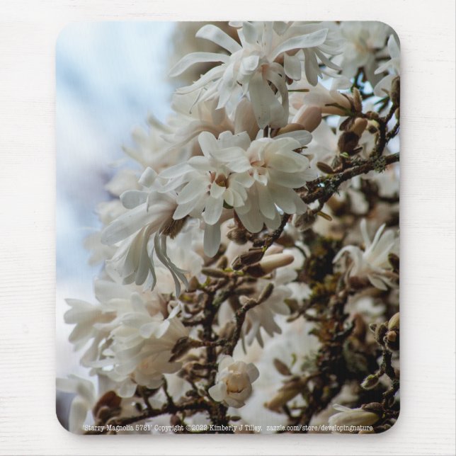 Mousepad Starry Magnolia 5781 (Frente)