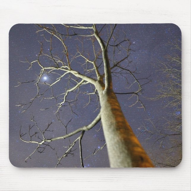 Mousepad Starry_Tree_Mousepad (Frente)