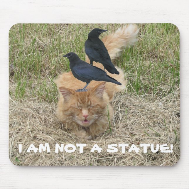 Mousepad Statue Cat? (Frente)