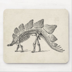 Mousepad Stegossauro Dinossauro Esqueleto Fóssil