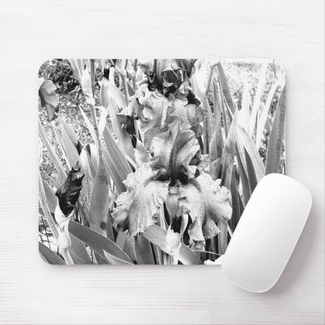 Mousepad Sterling Irises.... (Com mouse)