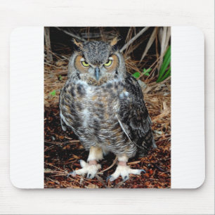 Mousepad Stern Owl