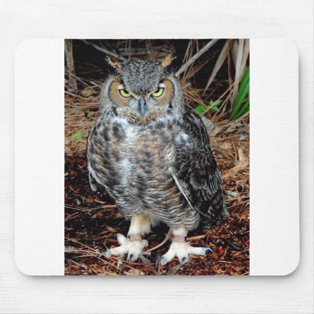 Mousepad Stern Owl (Frente)