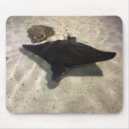 Mousepad Stingray