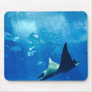Mousepad Stingrays Underwater