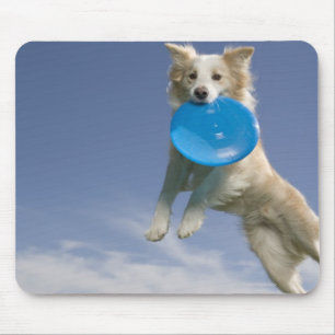 Mousepad Stockton, Califórnia, EUA