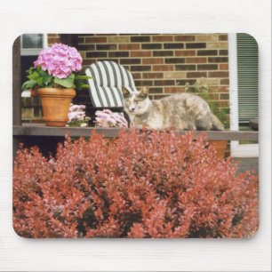 Mousepad Strinka