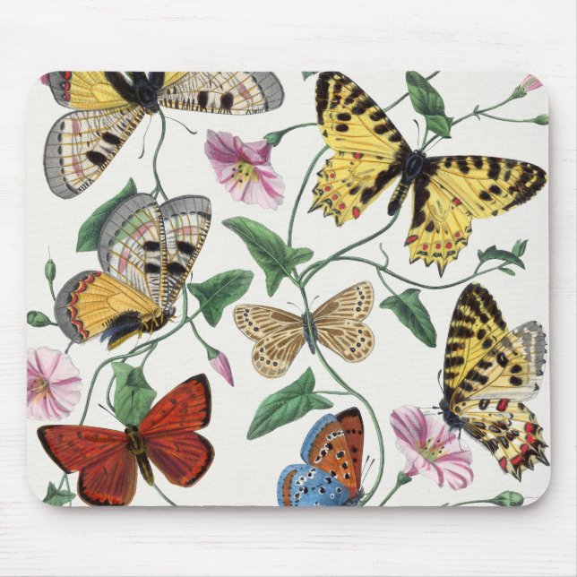 Mousepad Study of diurnal butterflies by Paul Gervais  (Frente)