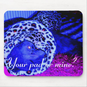 Mousepad Sua almofada ou mina?