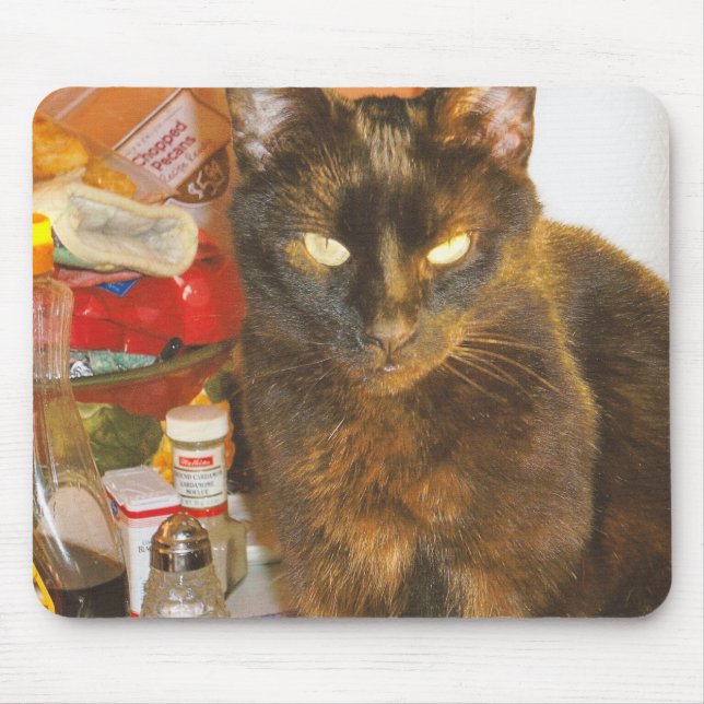 Mousepad Sua majestade Sammy (Frente)