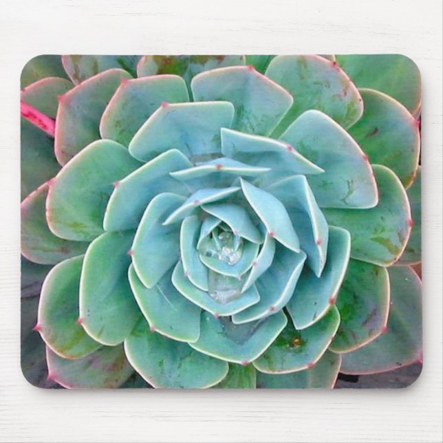 Mousepad Succulent (Frente)